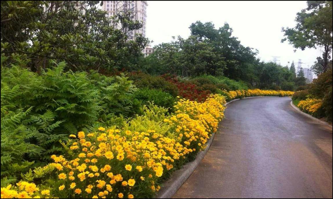 HSZ型手拉葫芦(20吨)